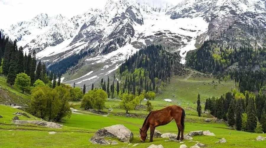 Drass Valley