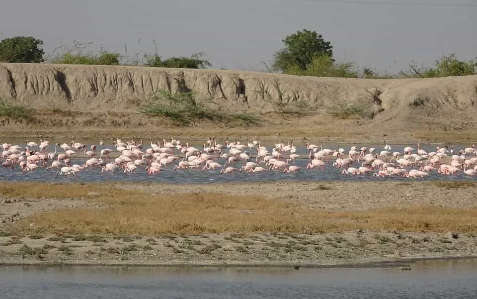 Best Time To Visit Rann Of Kutch