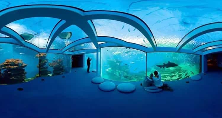 Taraporewala Aquarium