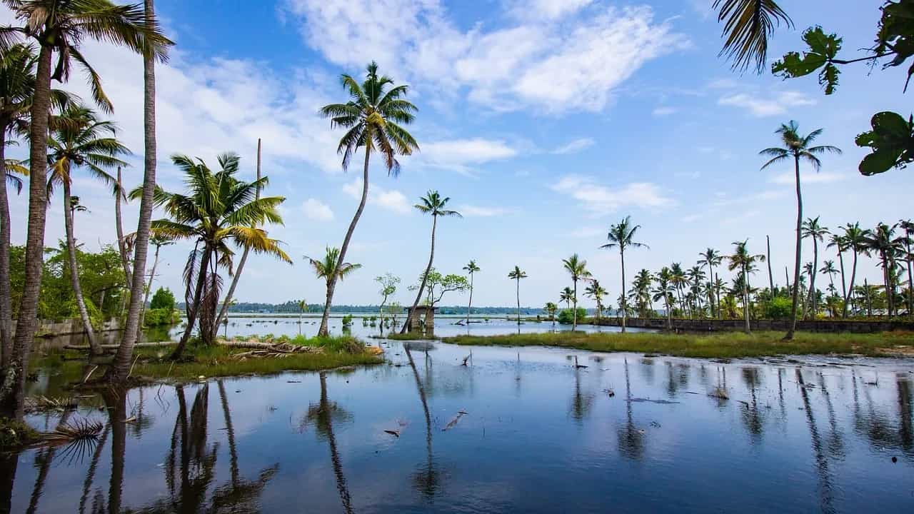 Best Time to Visit Varkala