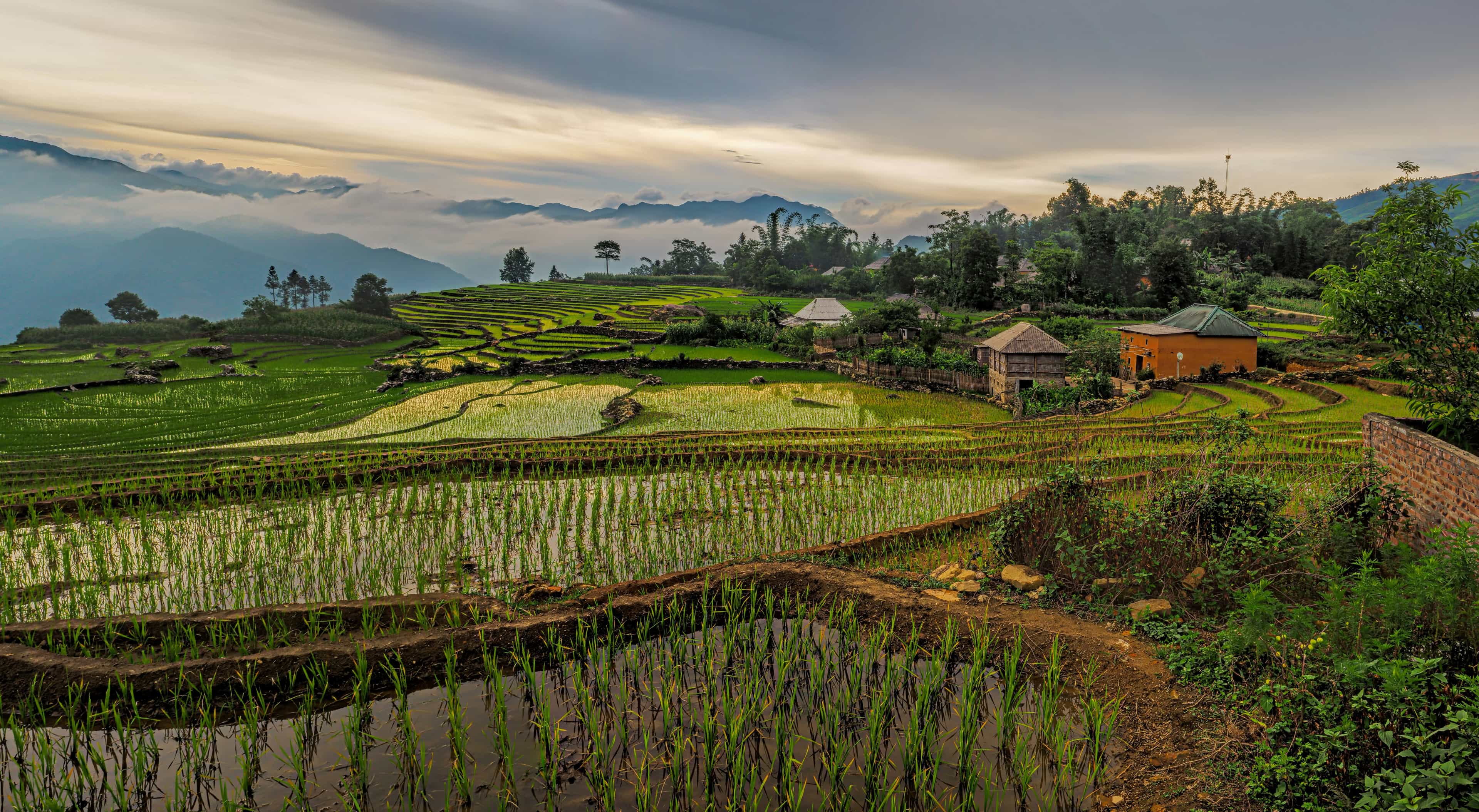 Vietnam Vs Indonesia