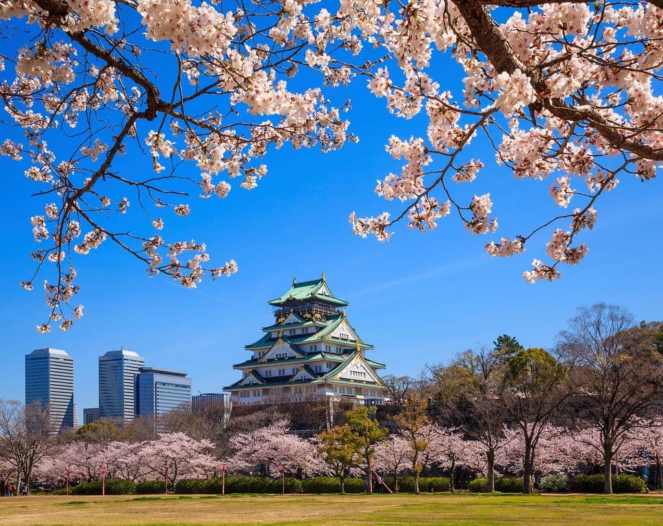 Japan Escapade (With Flights)
