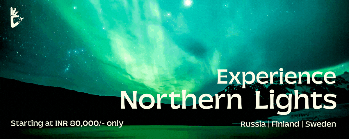 Northern Lights 2025