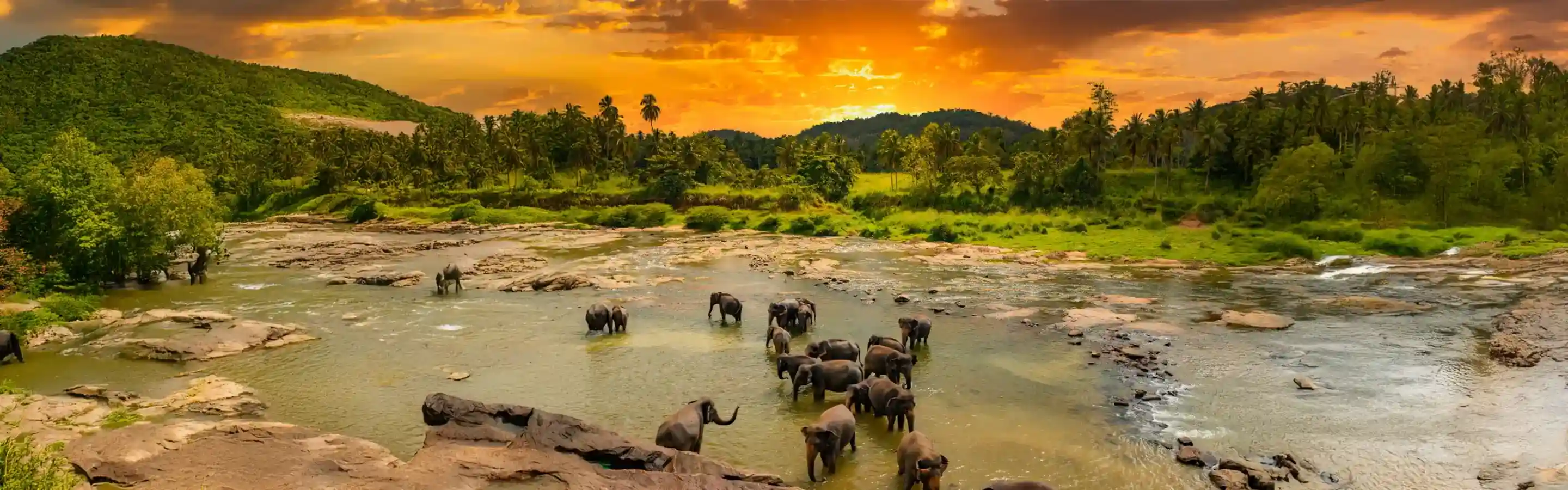 Sri Lanka Tour