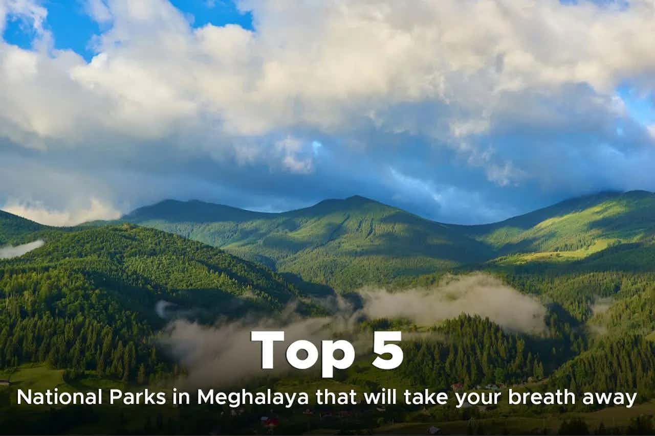Top 5 National Parks in Meghalaya