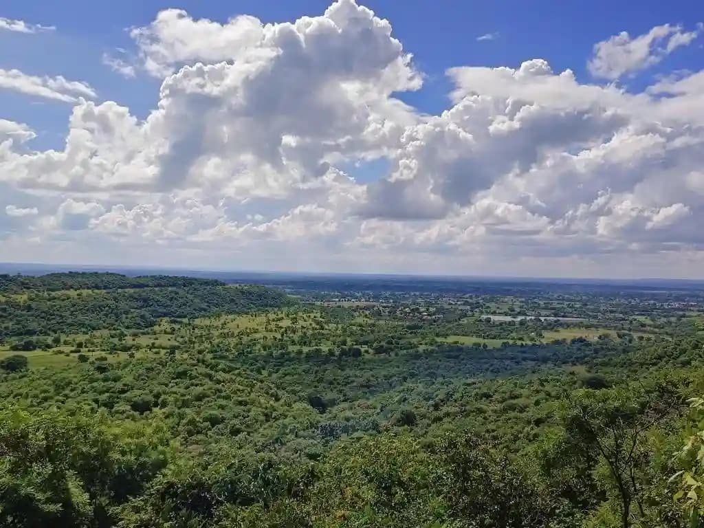 Ananthagiri Hills