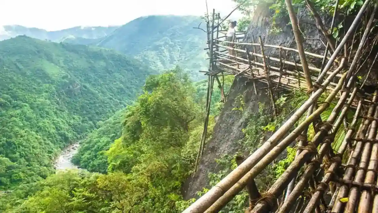 bamboo trek