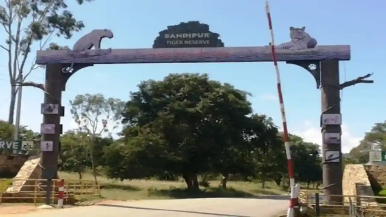 Bandipur National Park