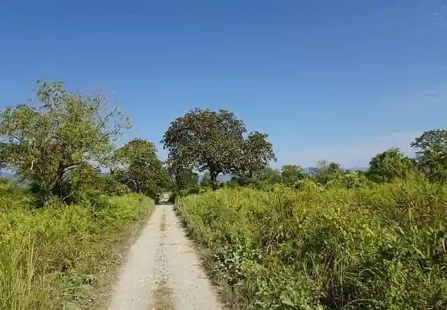 best time to visit assam.webp