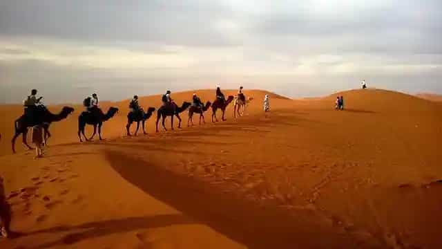 Desert safari Jaisalmer.webp