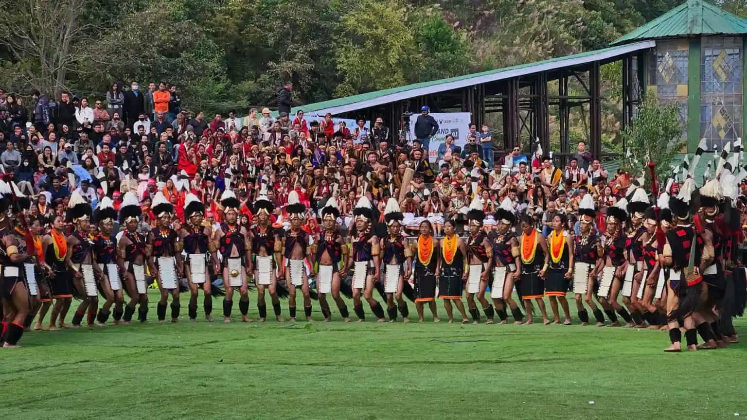 Hornbill Festival.webp