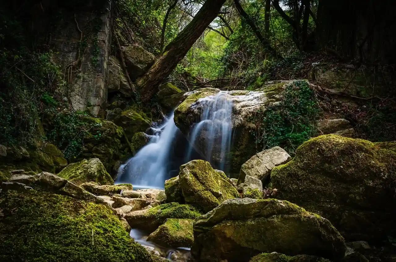 iruppu waterfalls