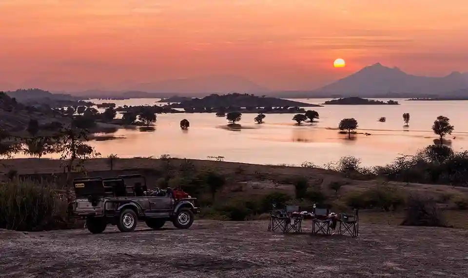 Jawai Rajasthan – Leopard Safari, Jawai Bandh & Travel Guide