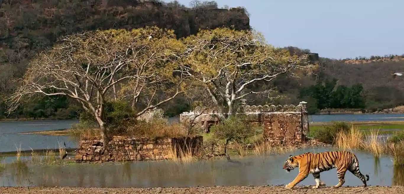 national park in Rajasthan