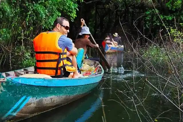 Pichavaram Mangrove Forest.webp
