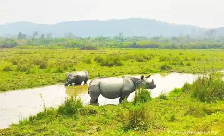 Places to visit in Kaziranga