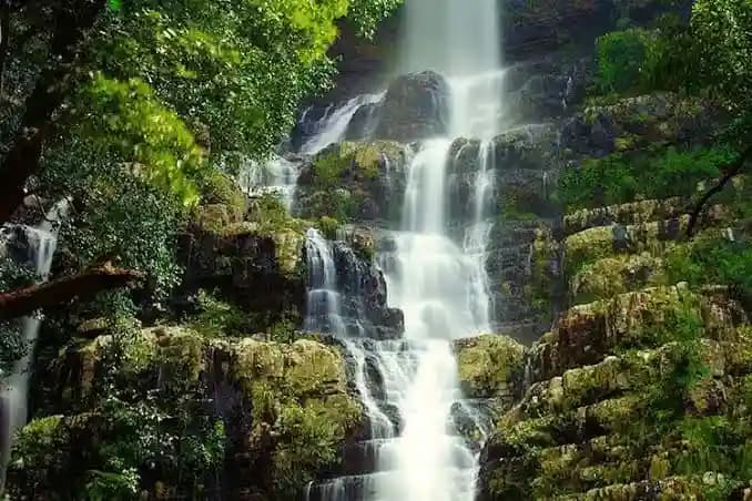Places to visit in Tirupati