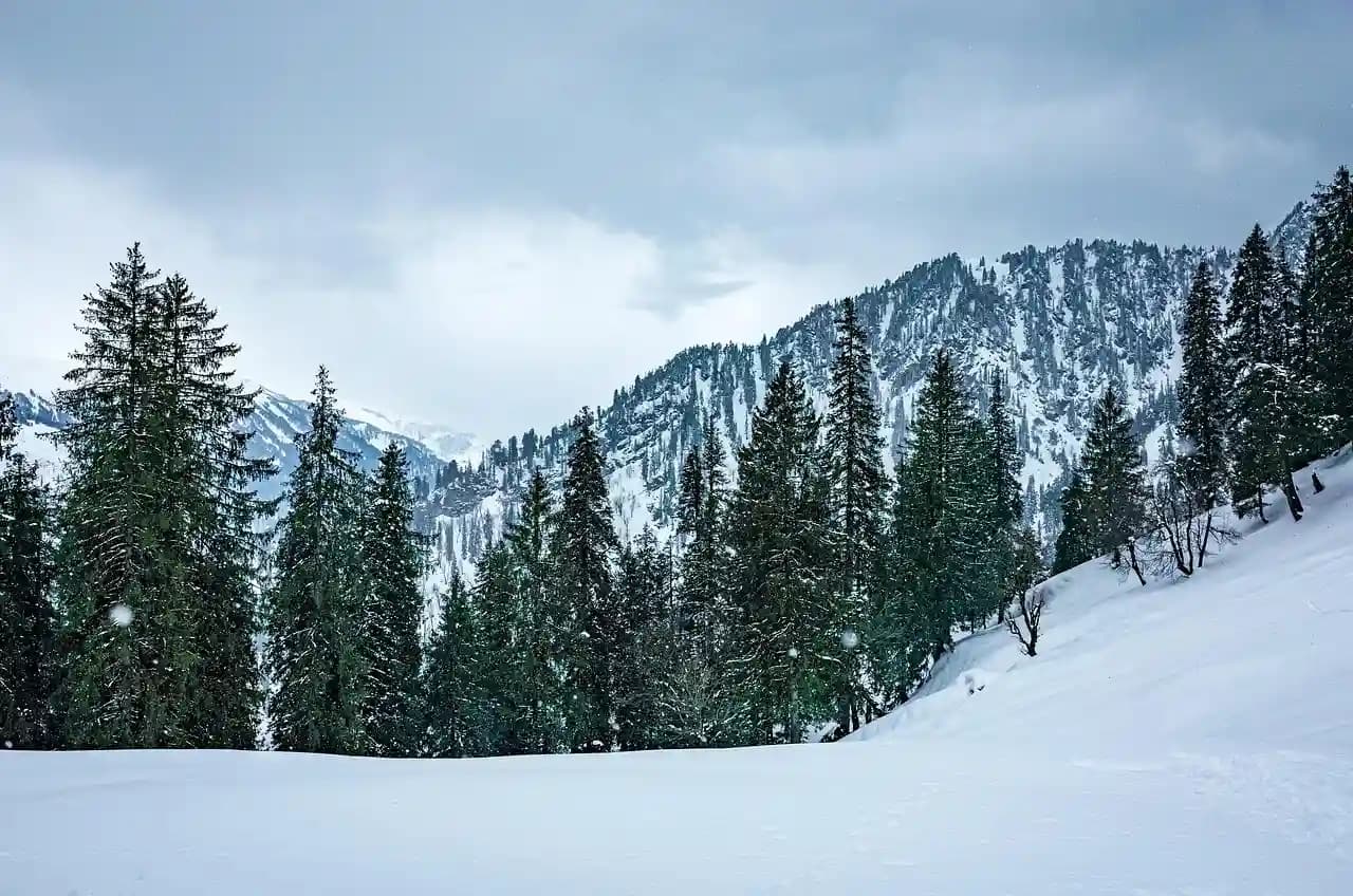 snowfall in nanital.webp