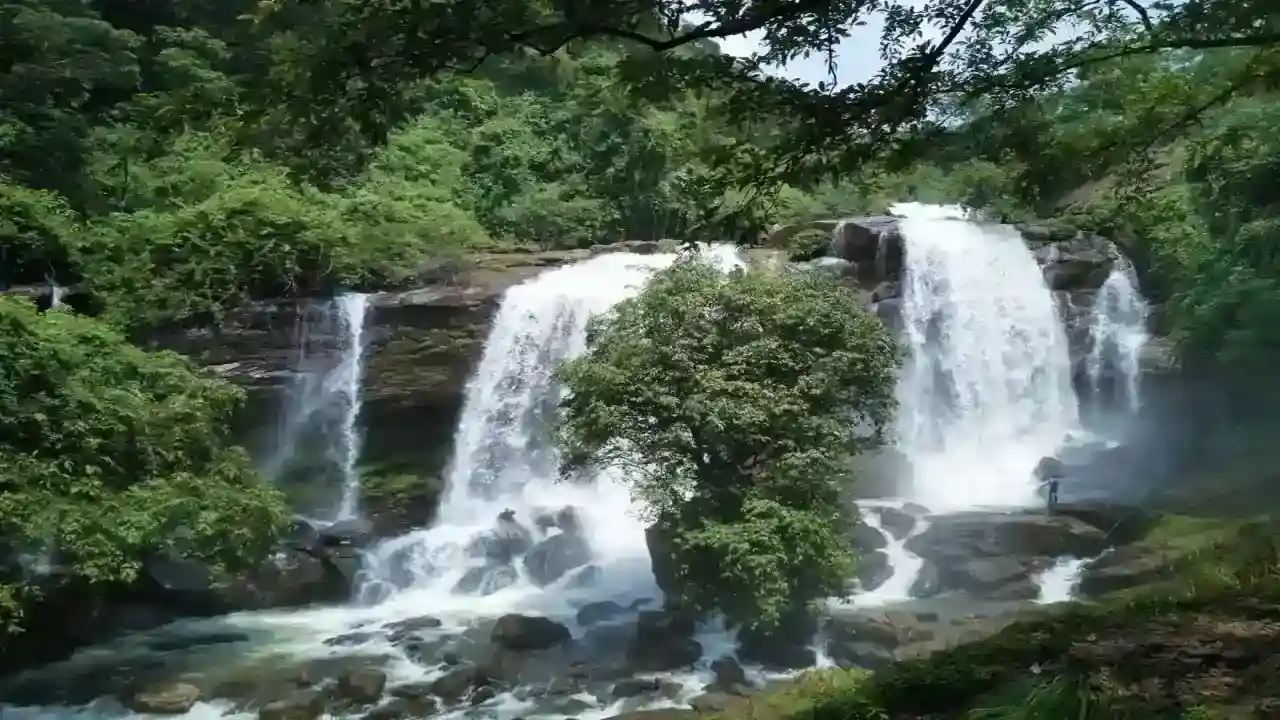 Waterfalls in Kochi