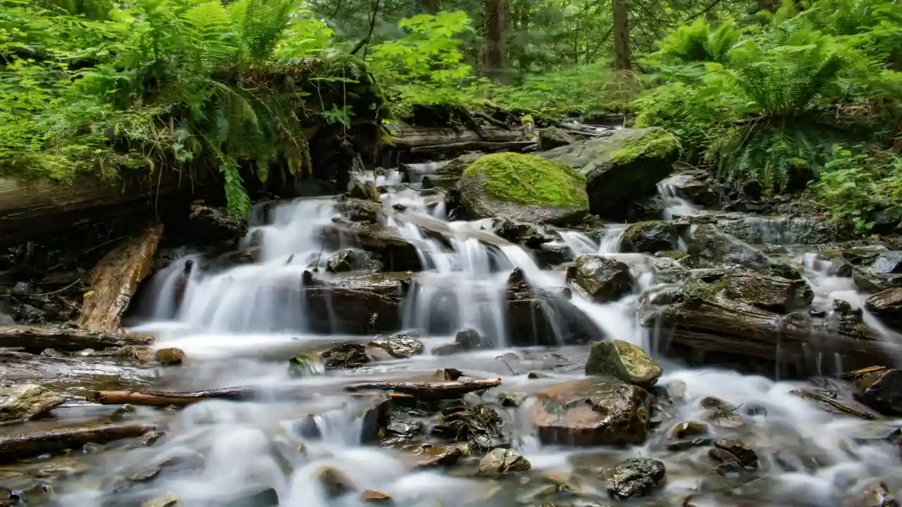 waterfalls in tamilnadu
