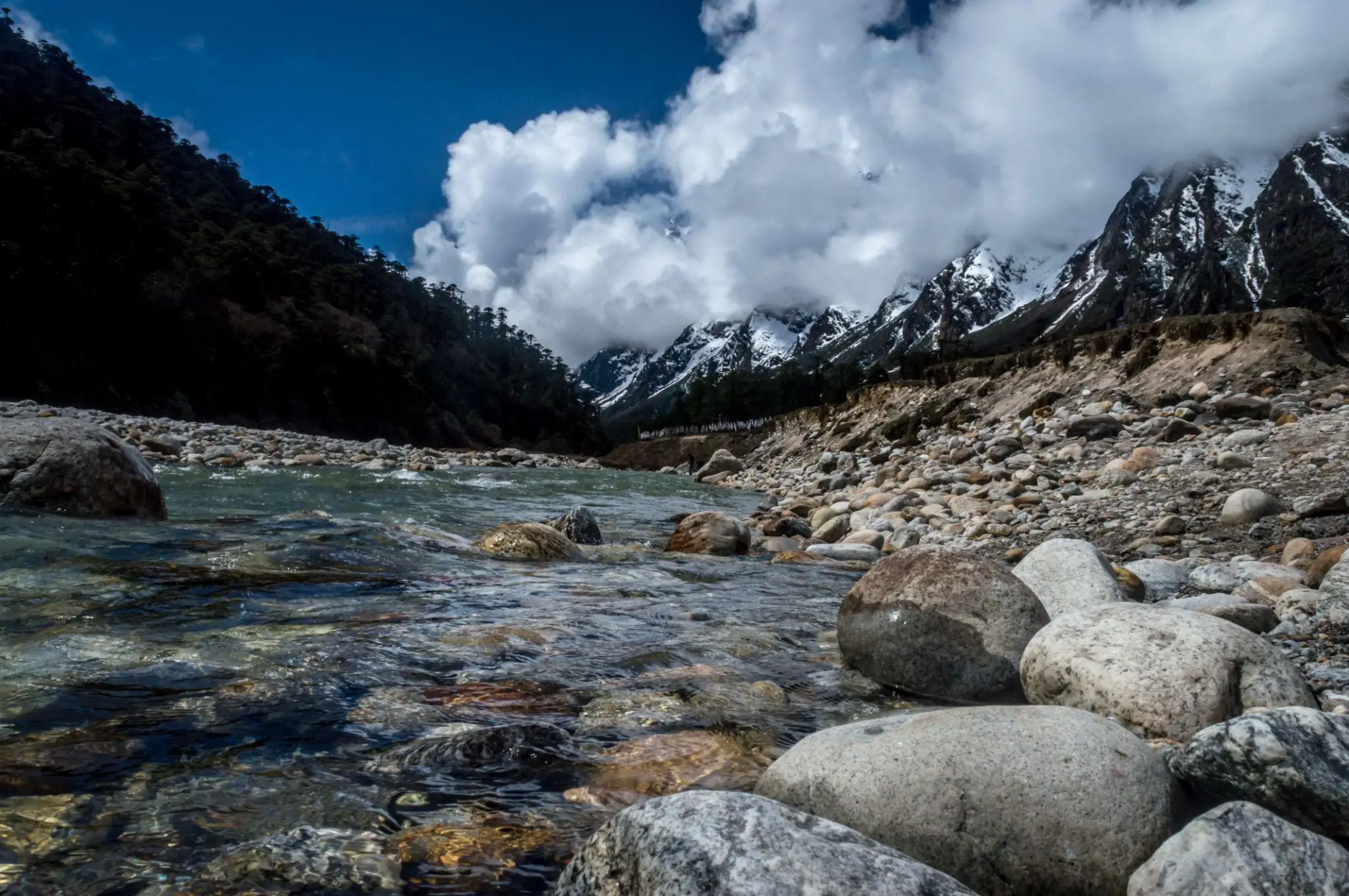 Yumthang Valley: Best Time To Visit & Other Details