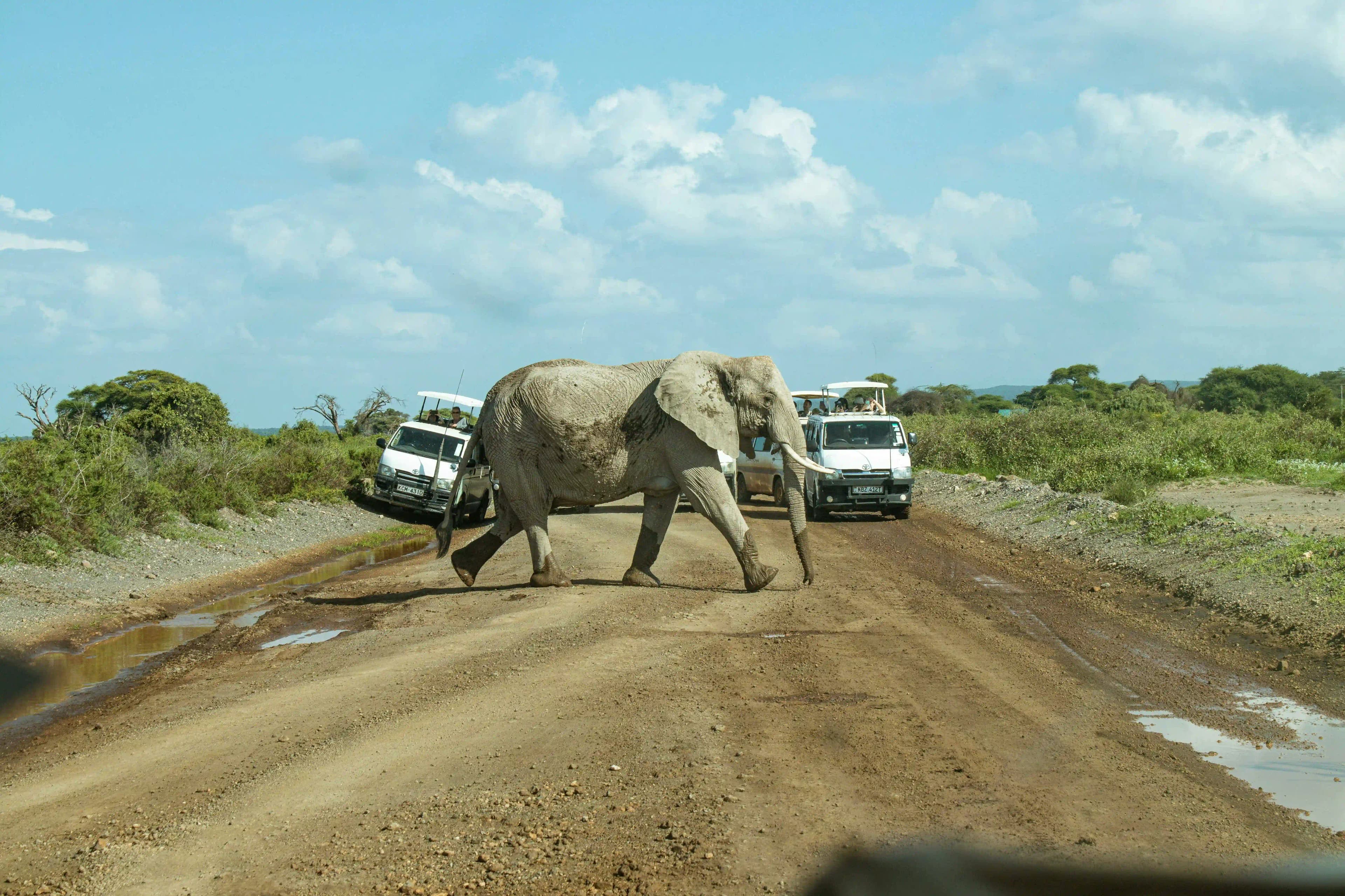 Places To Visit in Kenya