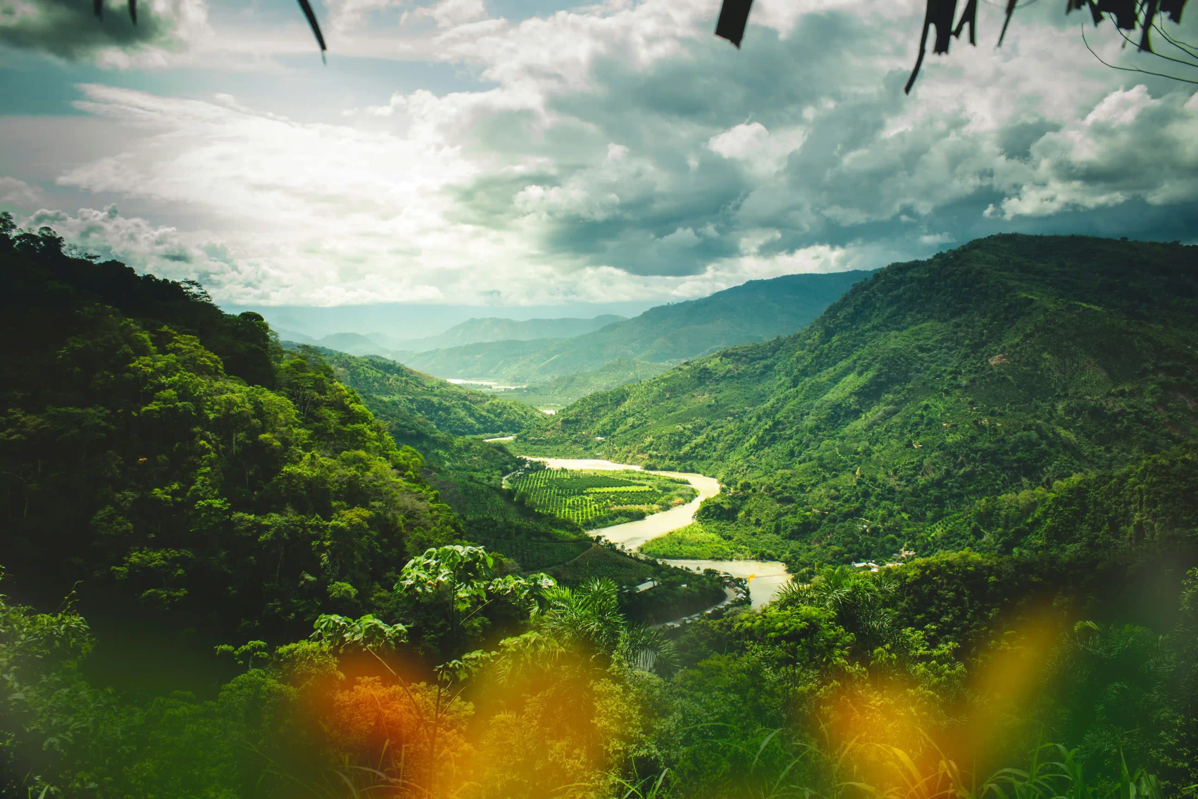 Places To Stay in Araku Valley