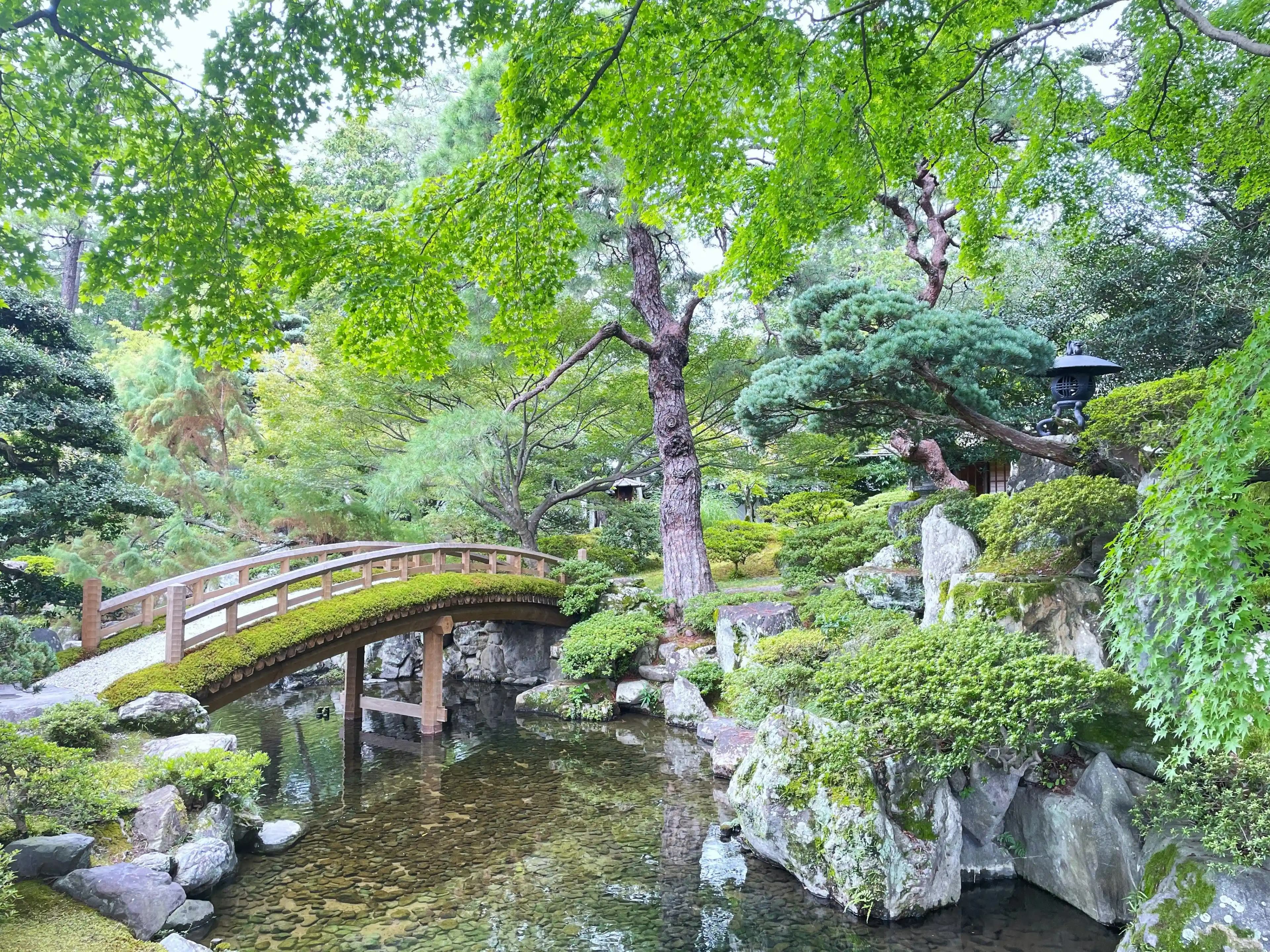 Japanese Park