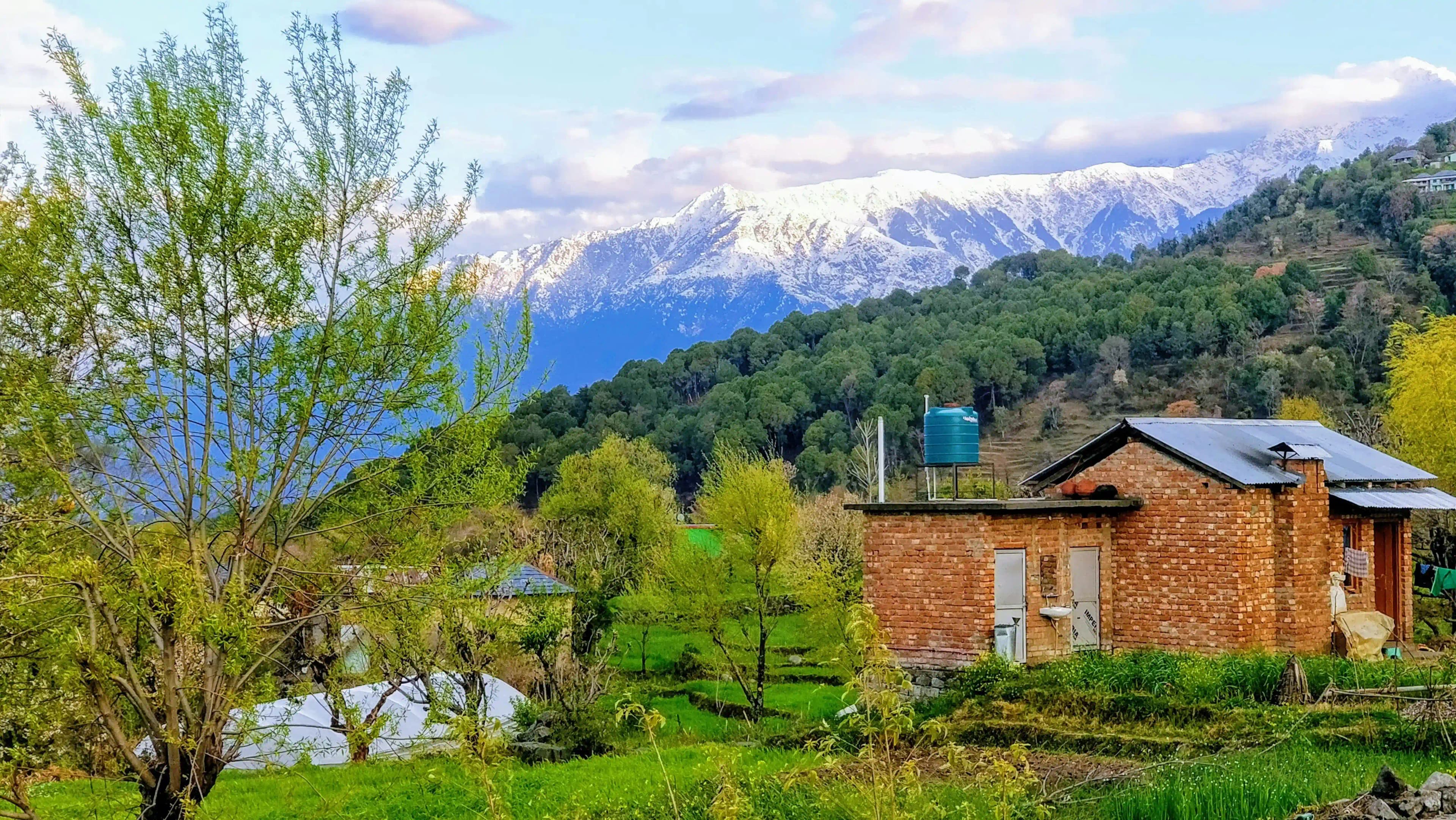 Best Time To Visit Bir Billing