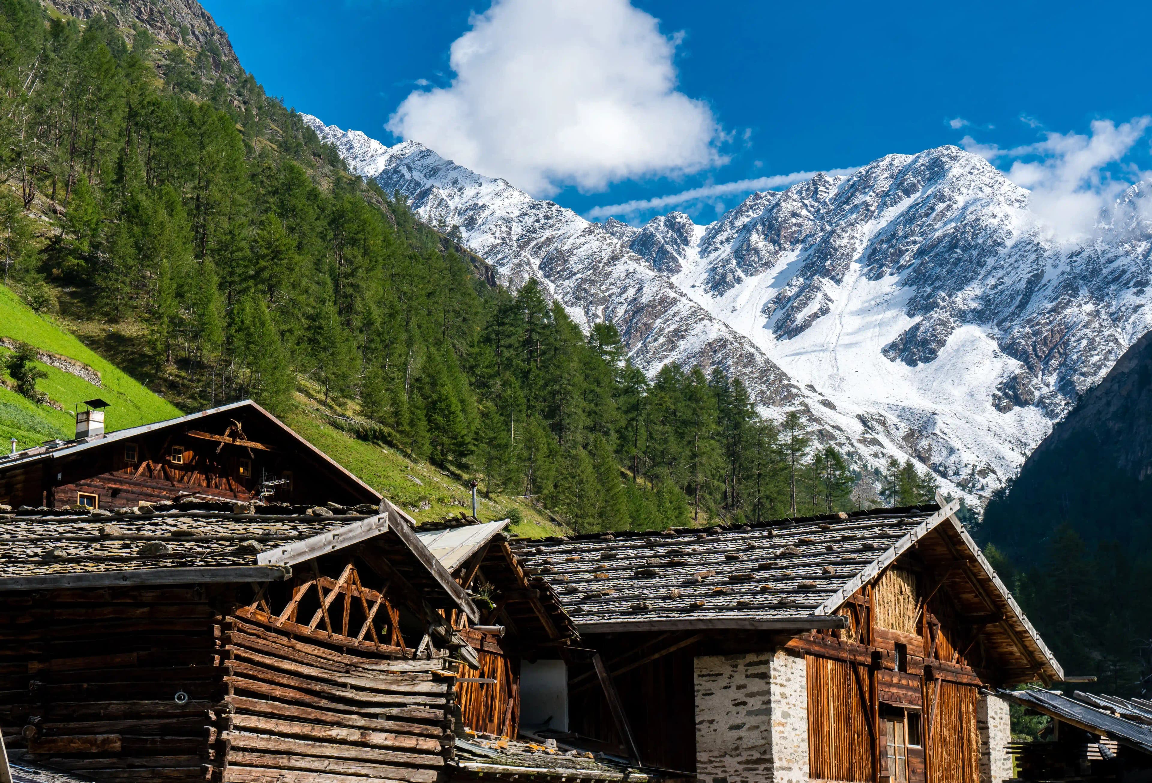 Best Time to Visit Palampur