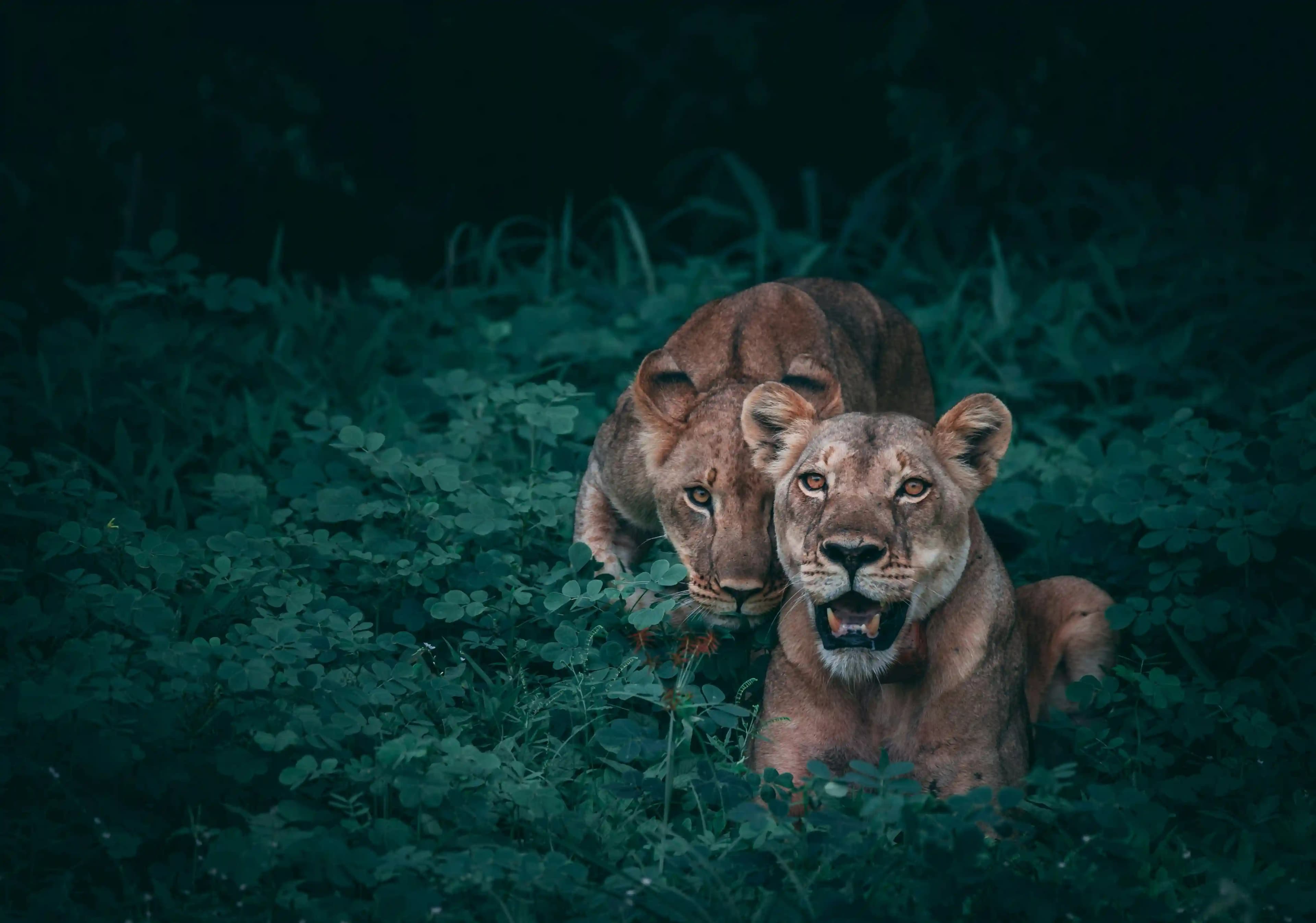 Kalatop Wildlife Sanctuary