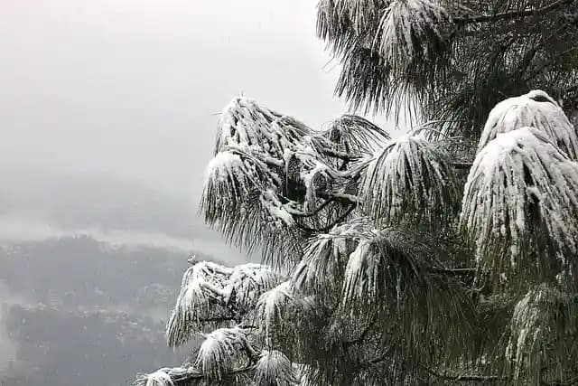 Places to visit in Shimla