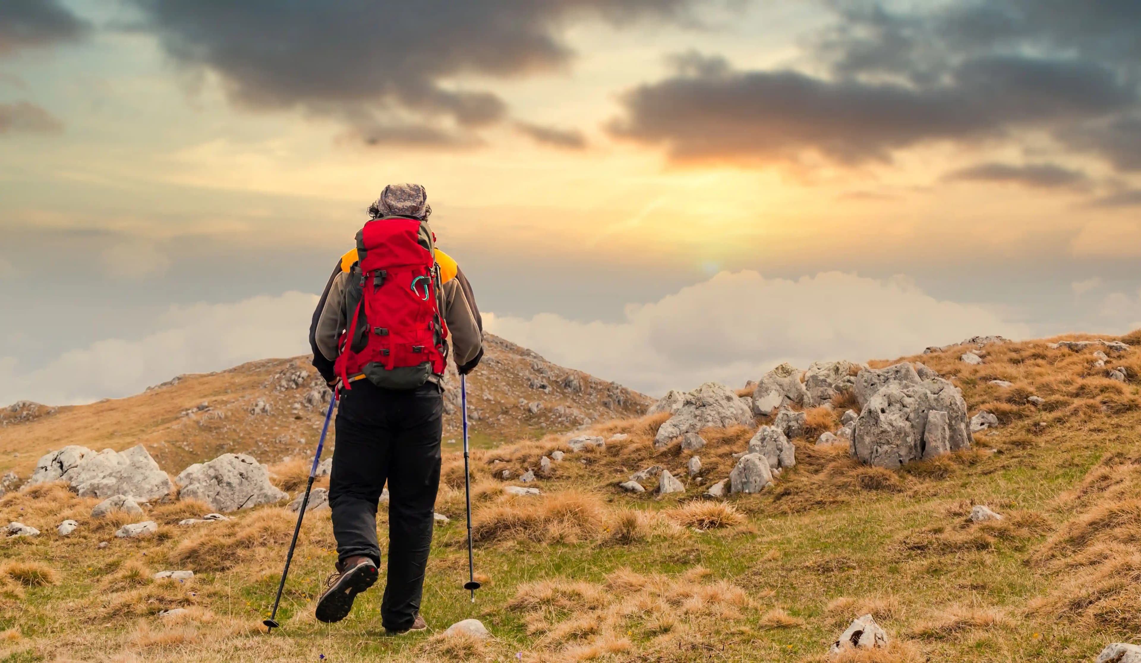 Triund Trek