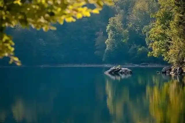 Nigeen Lake