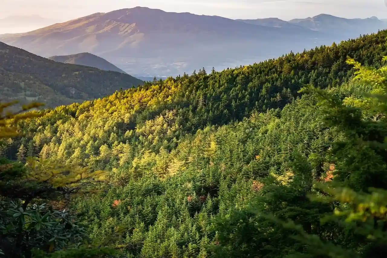 Things To Do In Patnitop