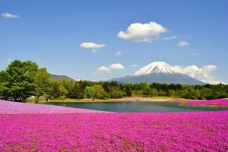 Japan in May