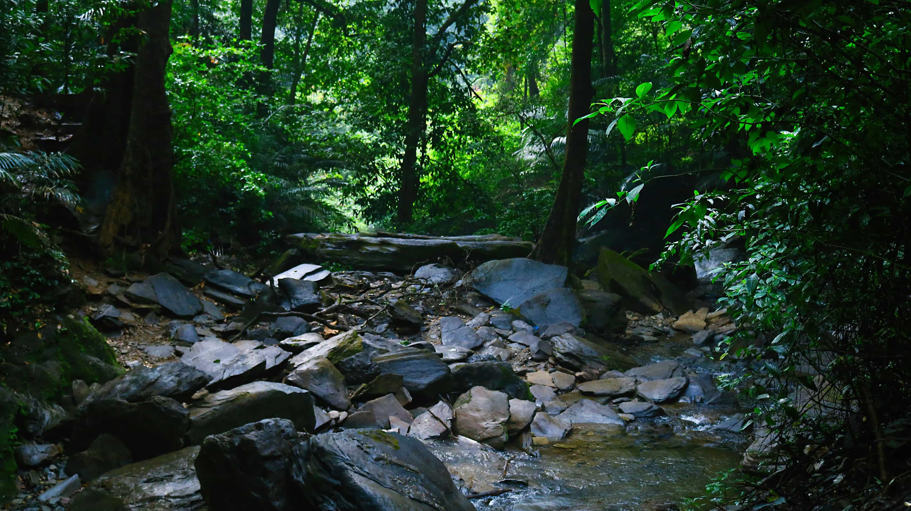 Agumbe Tourist Places