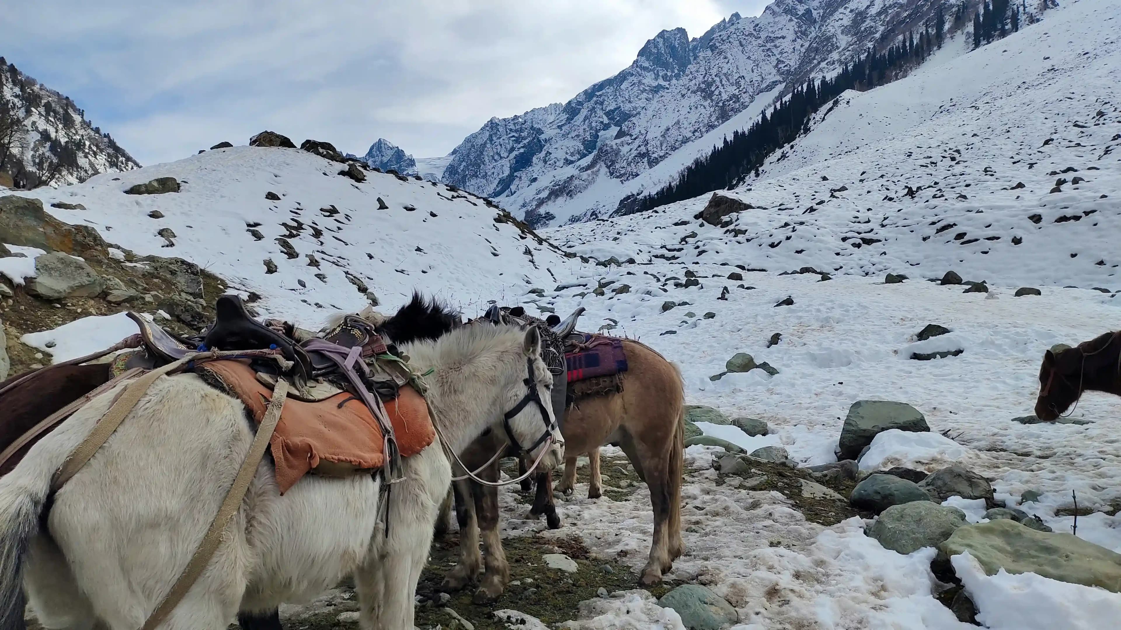 Best Places to Visit in Gulmarg