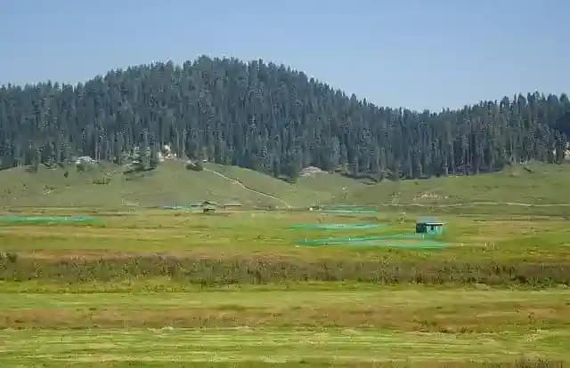 Best Time to Visit Gulmarg