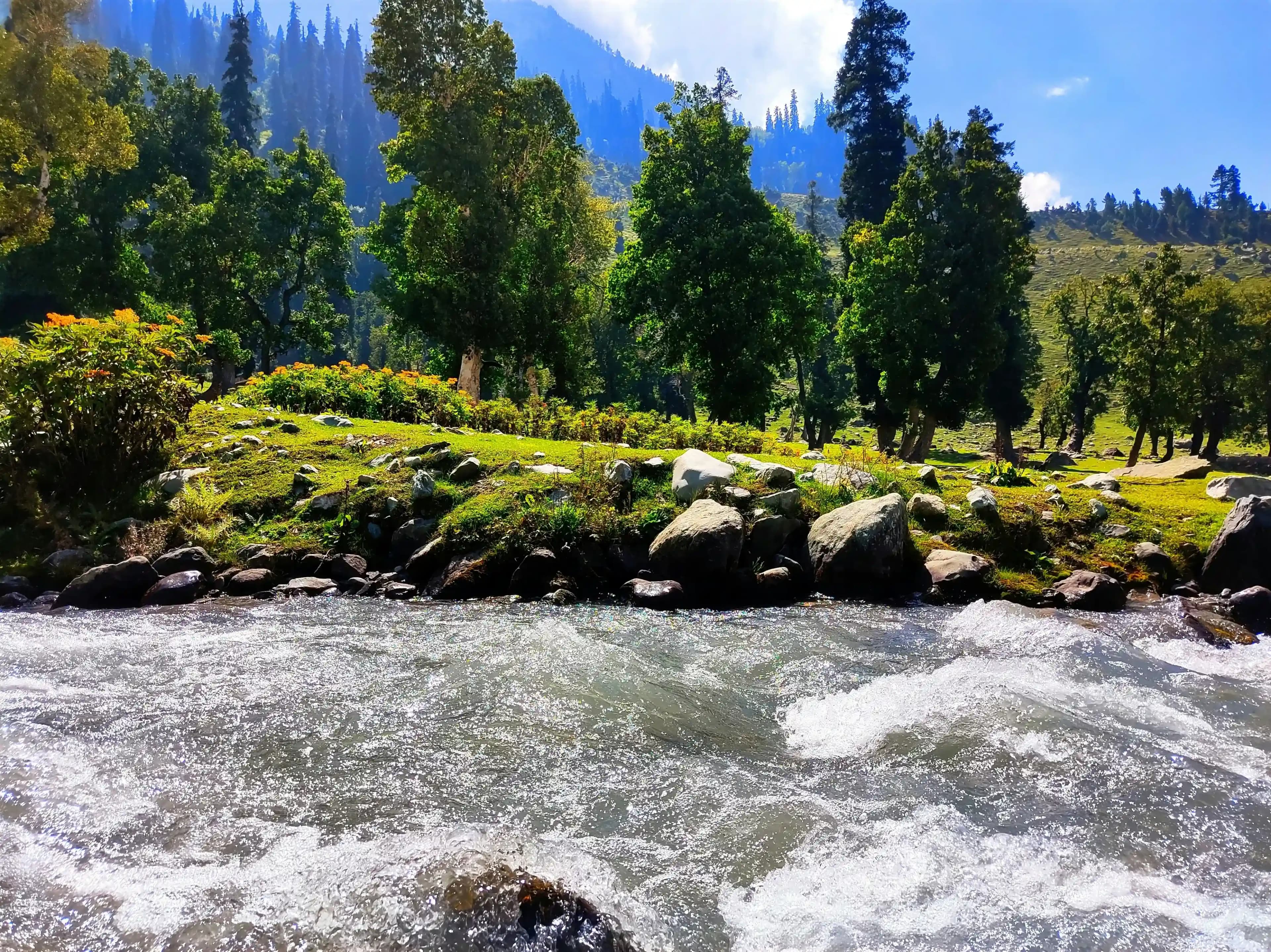 Kashmir in June