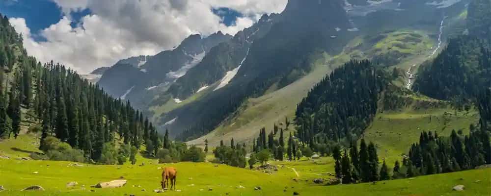 Why you should visit Kashmir this winter