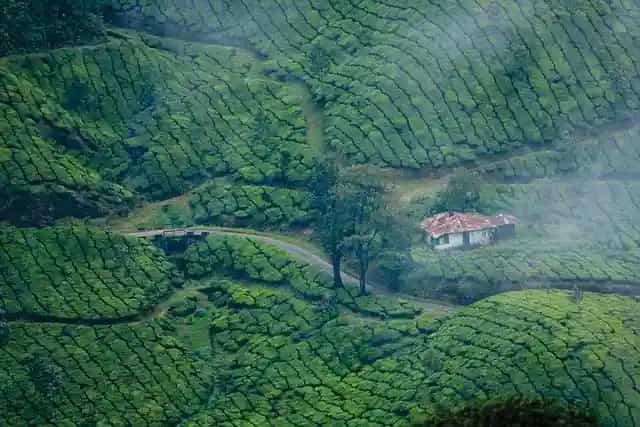 best time to visit Munnar