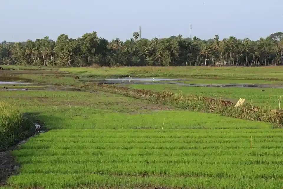 Hidden places in Palakkad