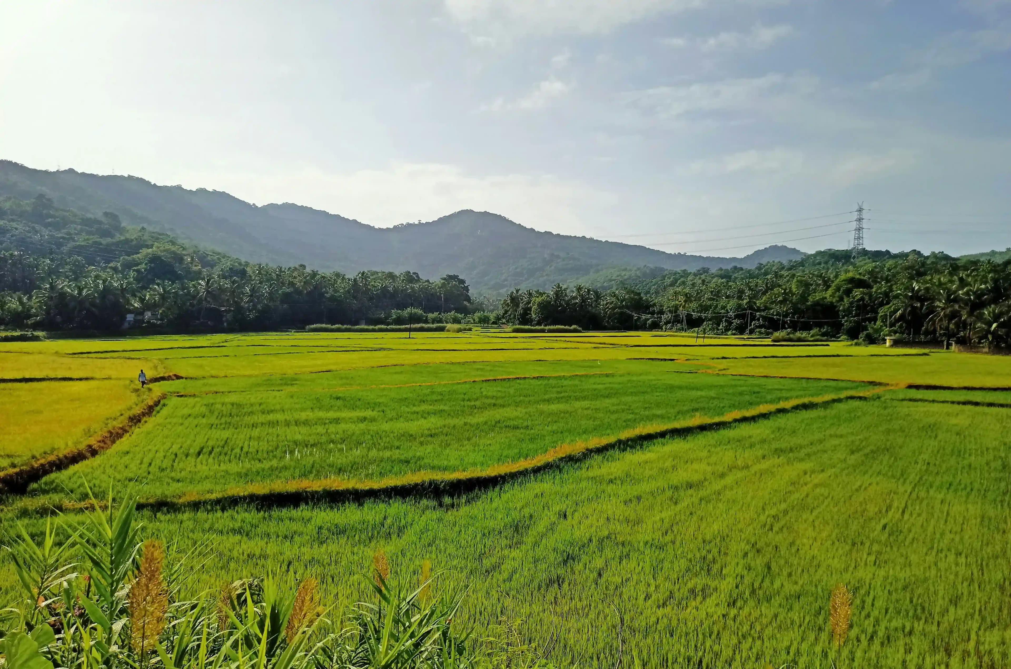Kerala Backpacking Trip