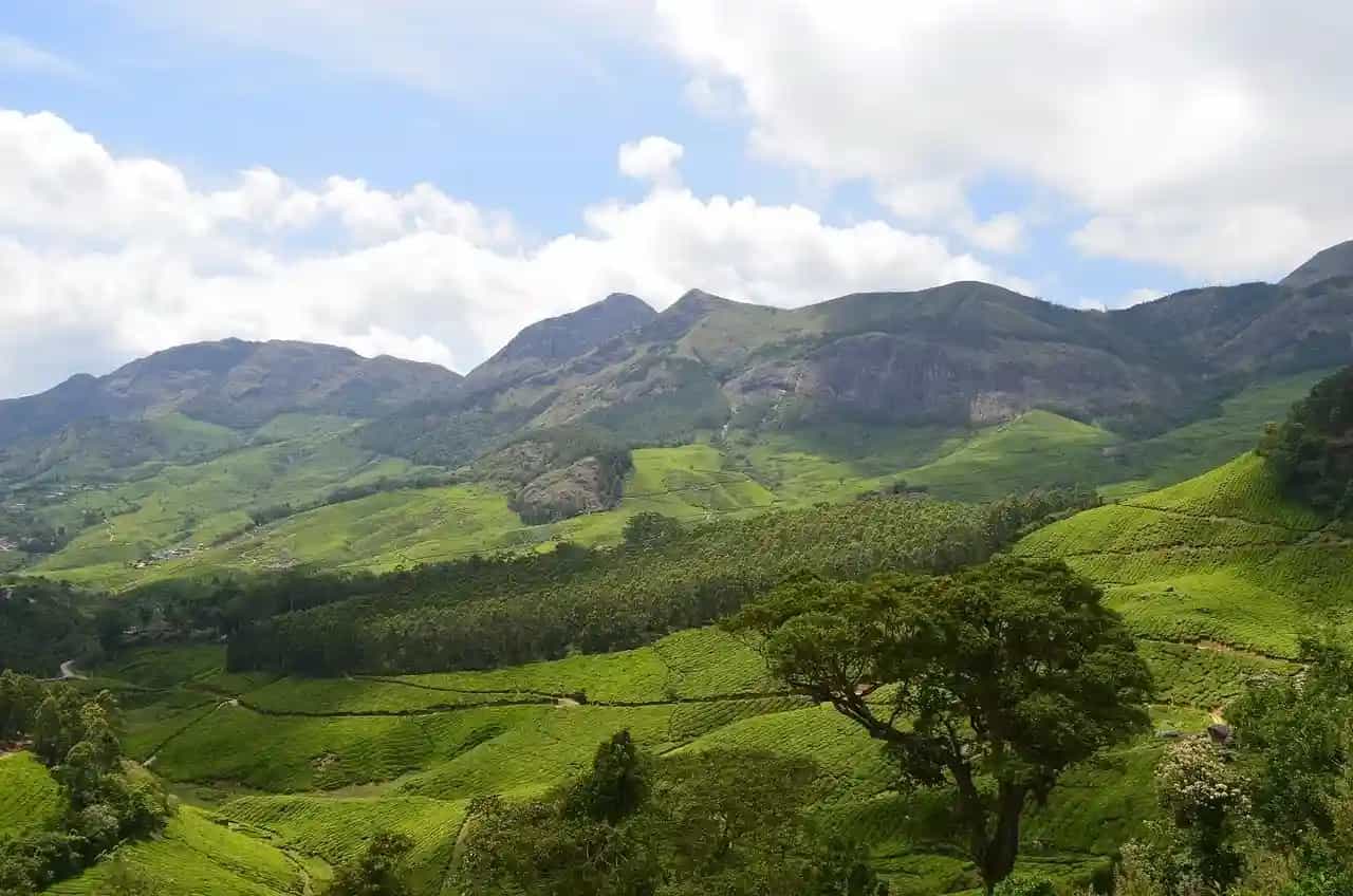 Places to Visit in Ponmudi