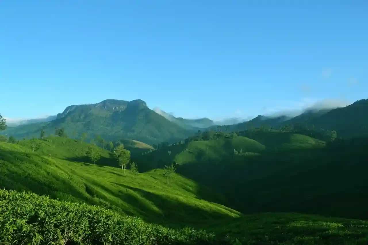 Places To Visit In Thekkady