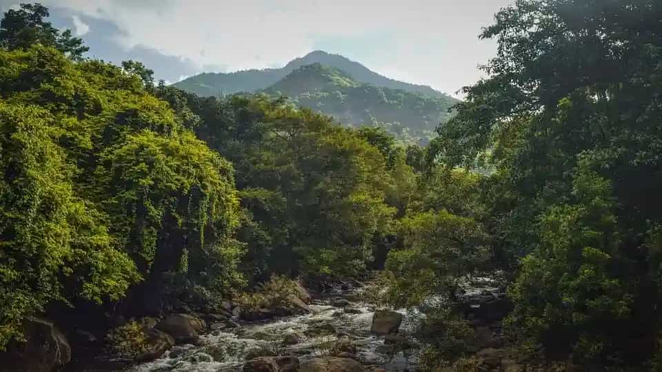 Places To Visit In Wayanad