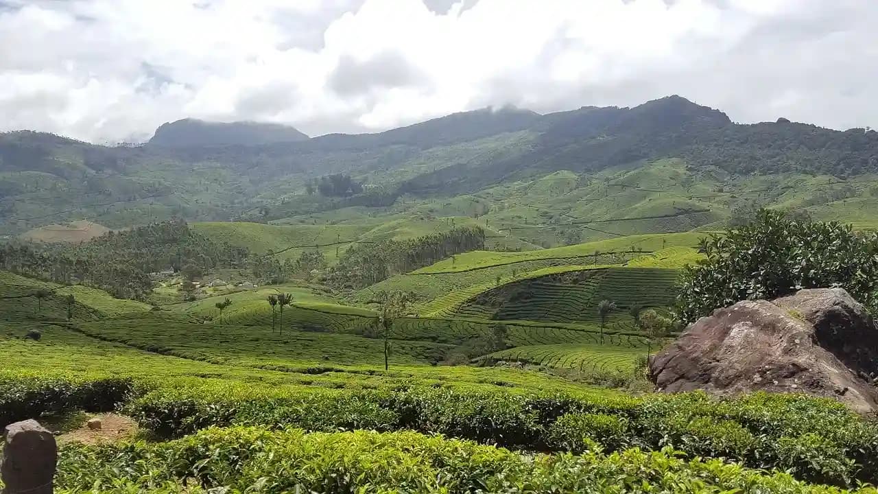 Places to visit near munnar