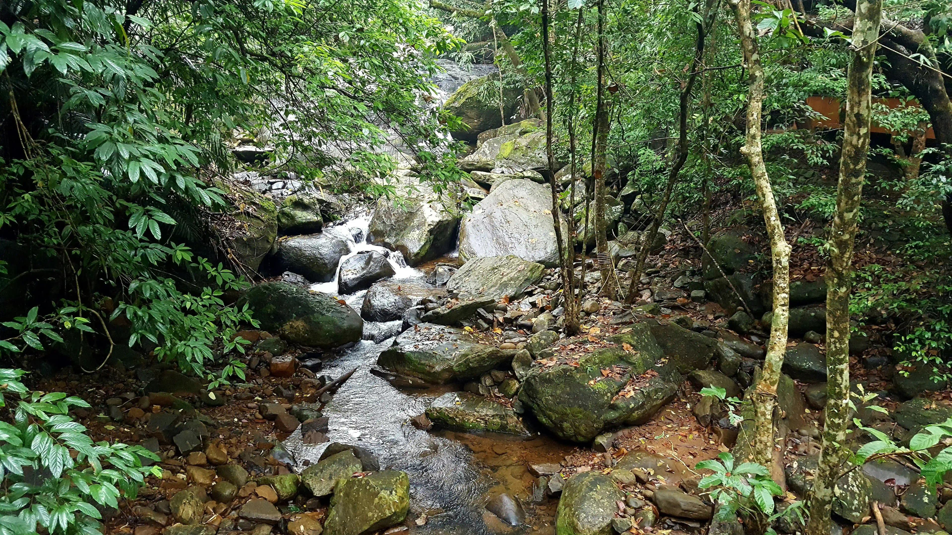 Places to Visit Near Wayanad
