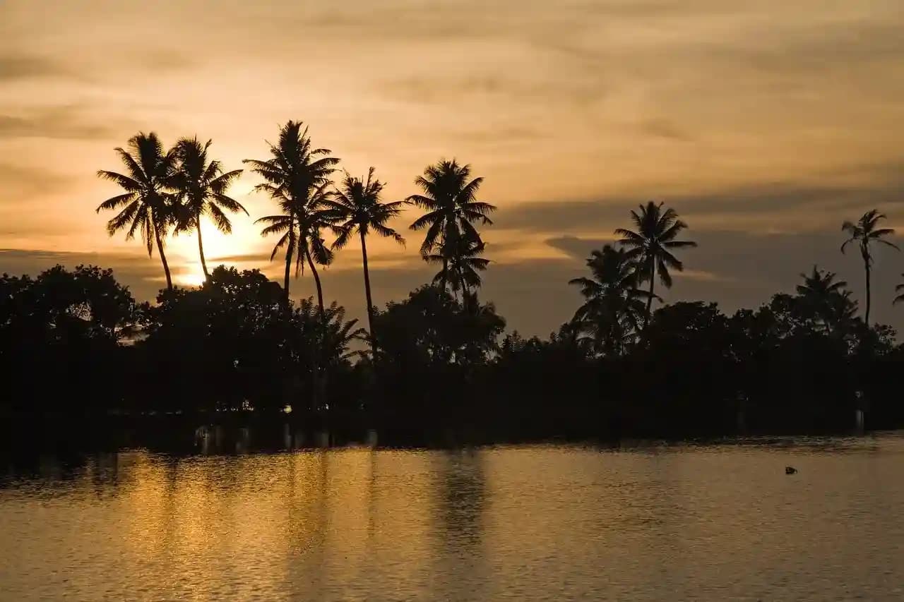 Best Time To Visit Thekkady